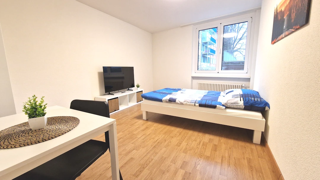 Furnished Room in Basel rent