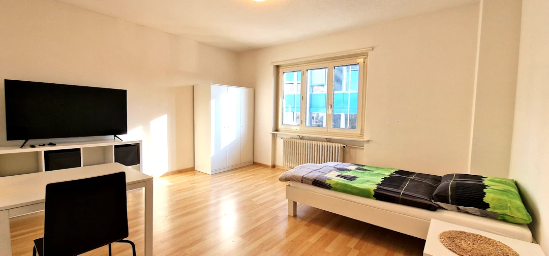Furnished Room in Reinach rent